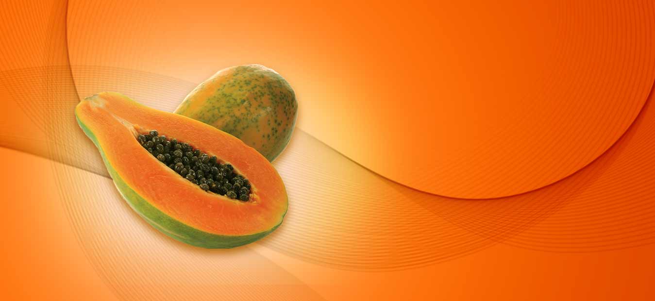 lorem ipsum dolor sit