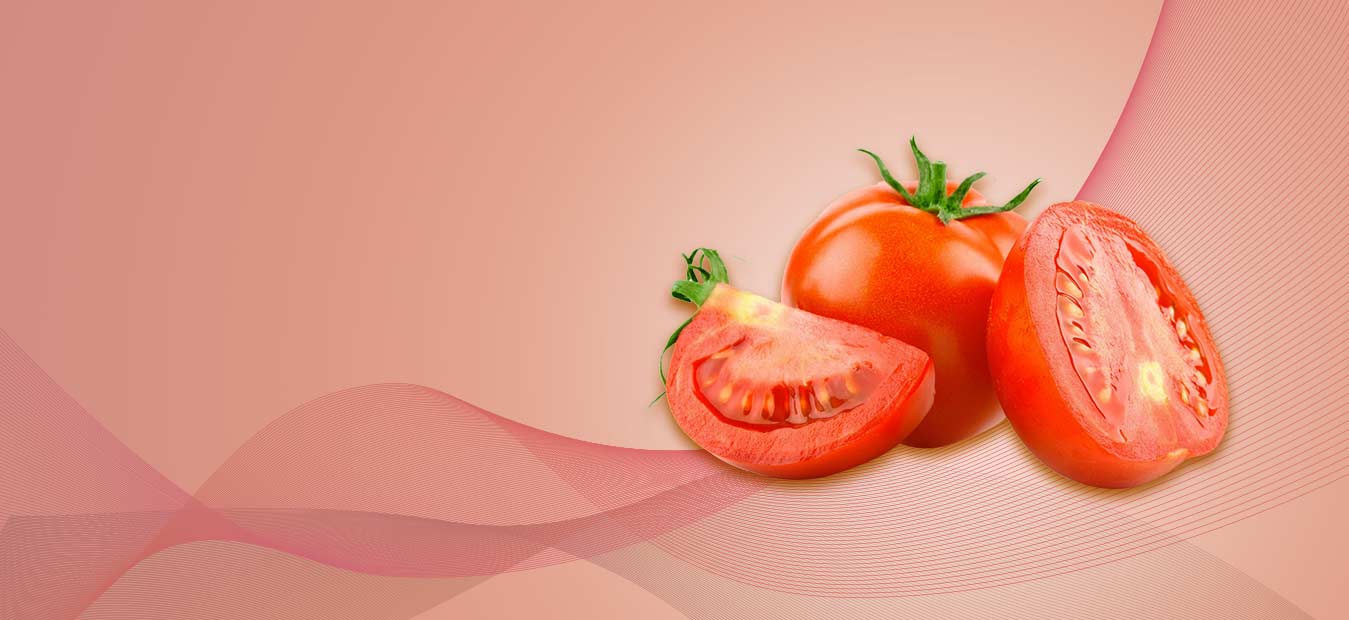 lorem ipsum dolor sit